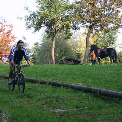 Bicicletta