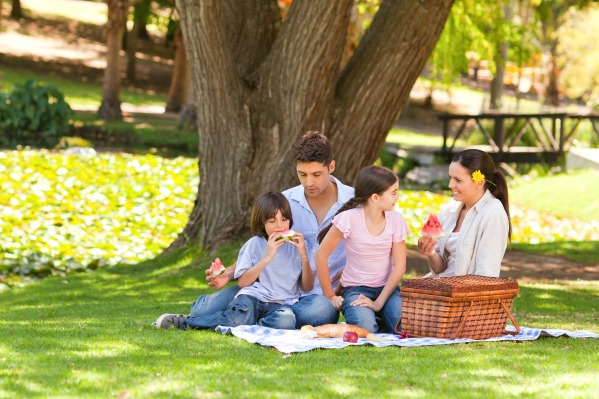Picnic